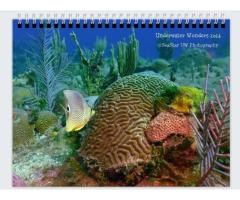 Underwater wonders - 2024 Wall Calendar
