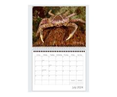 Underwater wonders - 2024 Wall Calendar