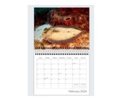 Underwater wonders - 2024 Wall Calendar