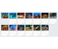 Underwater wonders - 2024 Wall Calendar