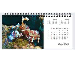 Underwater wonders - 2024 Desktop Calendar