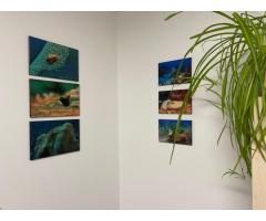 Underwater photography wall art
